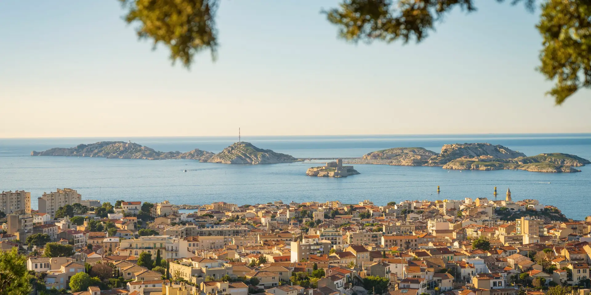 Toits de Marseille et îles du Frioul vus depuis les hauteurs, entre les branches d'un pin